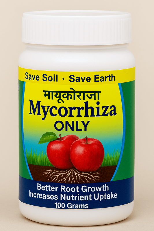 IMMUNITY MYCORRHIZA
